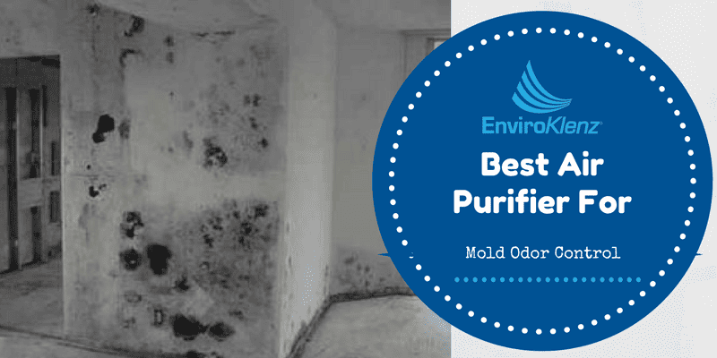 Best Air Purifier For Mold Odor Control