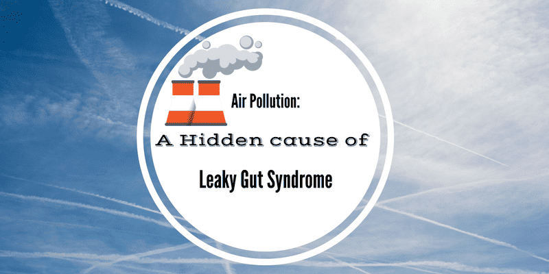 Air Pollution: A Hidden Cause of Leaky Gut Syndrome