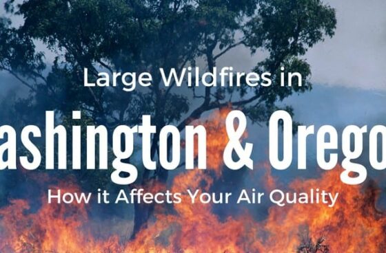 Large Wildfires in Washington & Oregon: How It Affects Your Air Quality