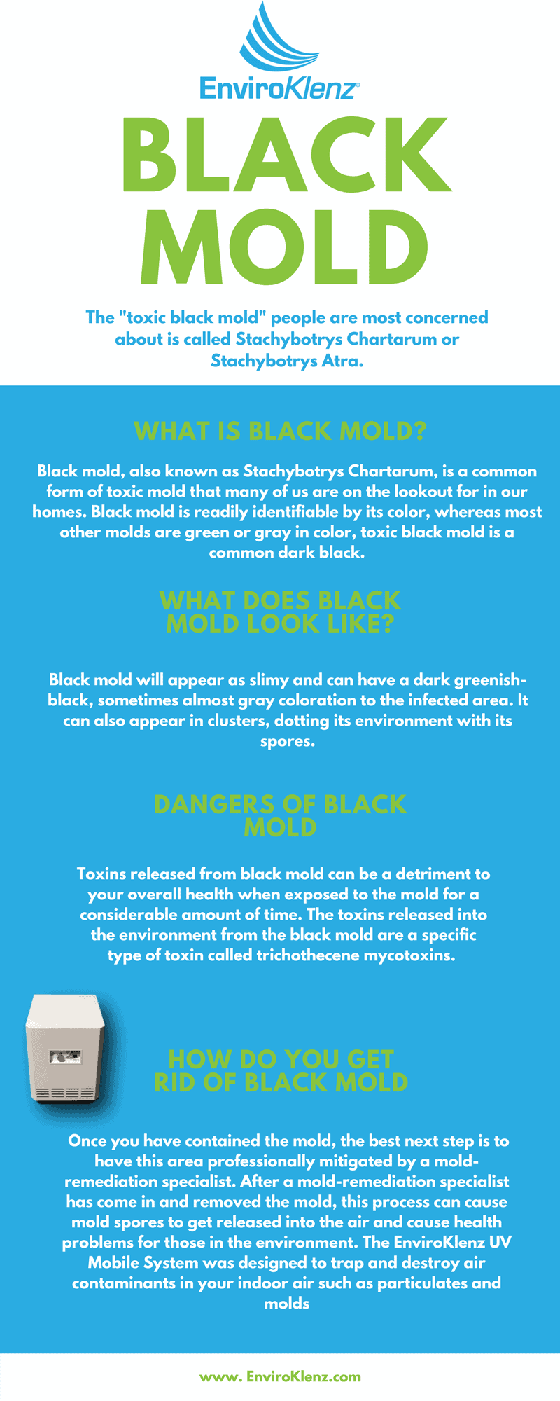 Is Black Mold Dangerous to Your Health? EnviroKlenz