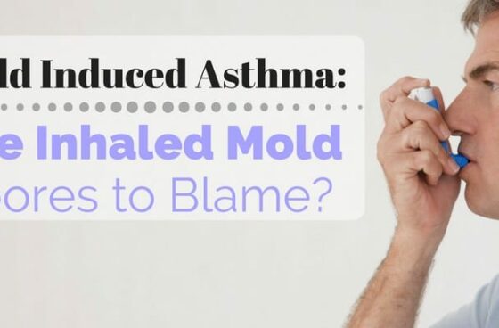 Mold Induced Asthma_ Are Inhaled Mold Spores to Blame?