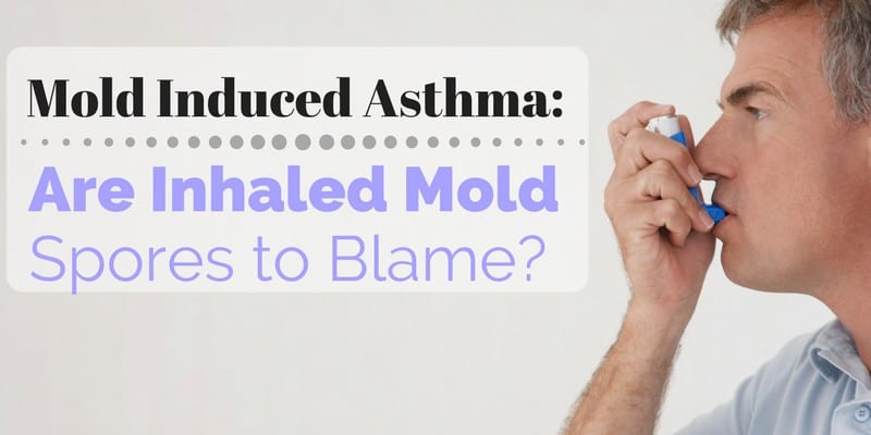 Mold Induced Asthma_ Are Inhaled Mold Spores to Blame?