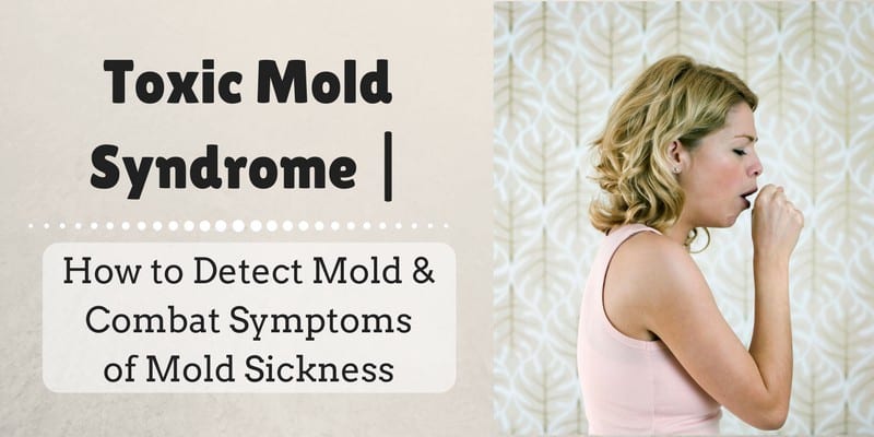 Toxic Mold Syndrome | How to Detect Mold & Combat Symptoms of Mold Sickness