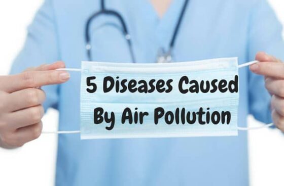 5 Diseases Caused By Air Pollution