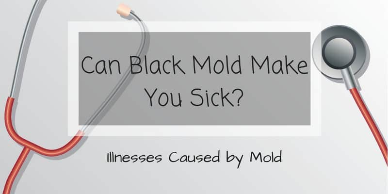 Can Black Mold Make You Sick? Illnesses Caused by Mold