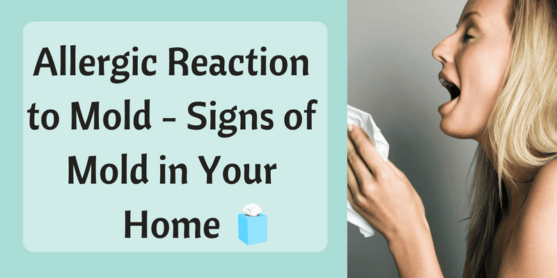 Allergic Reaction to Mold - Signs of Mold in Your Home