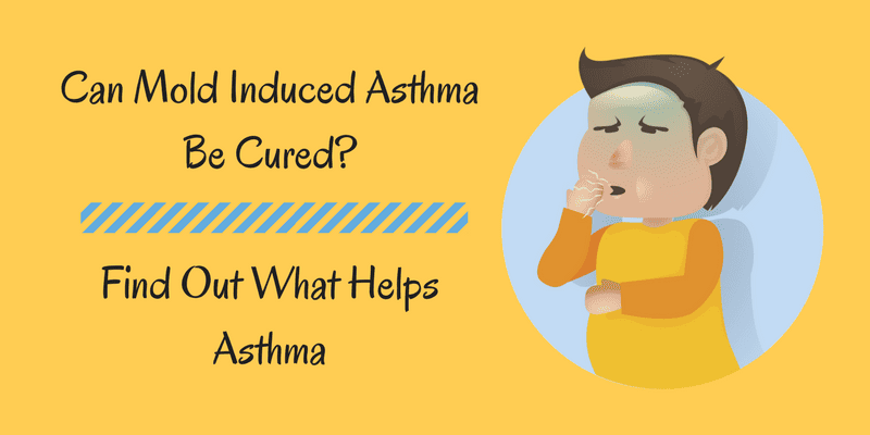 Can Mold Induced AsthmaBe Cured_Find Out What Helps Asthma