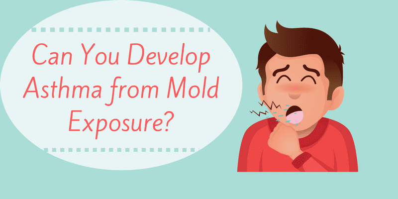 Can You Develop Asthma from Mold Exposure_