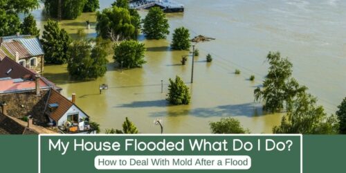 My House Flooded What Do I Do