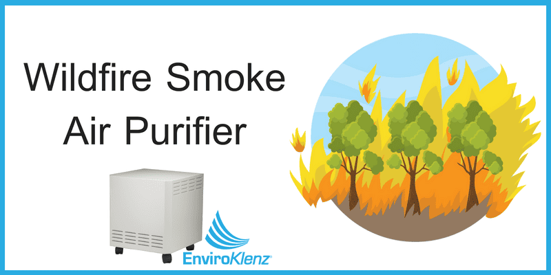Wildfire Smoke Air Purifier