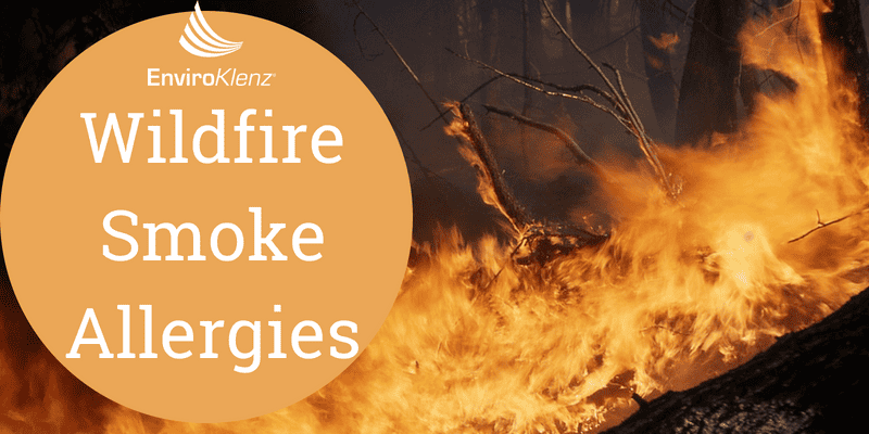 Wildfire Smoke Allergies