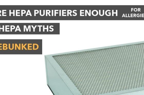 HEPA air purifier for allergies