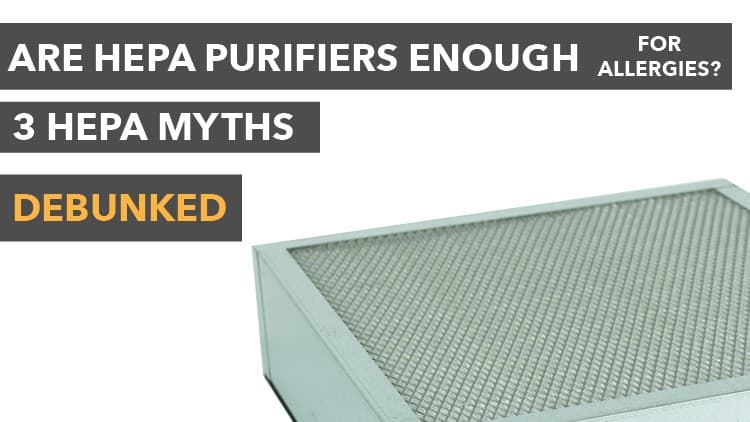 HEPA air purifier for allergies