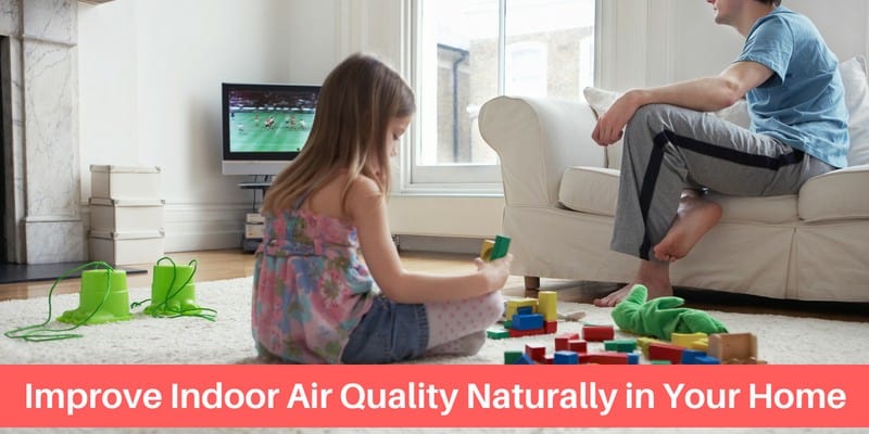 Improve Indoor Air Quality Naturally in Your Home