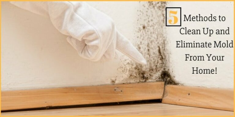 5 Methods To Clean Up And Eliminate Mold From Your Home Enviroklenz