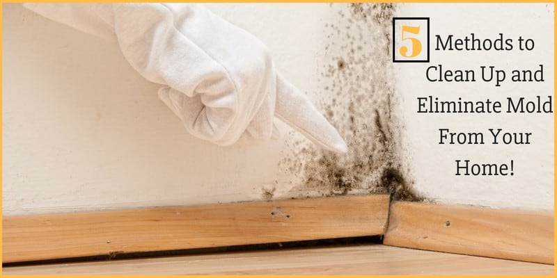 How to Prevent Mold Growth in a Poorly Ventilated Home - EnviroKlenz