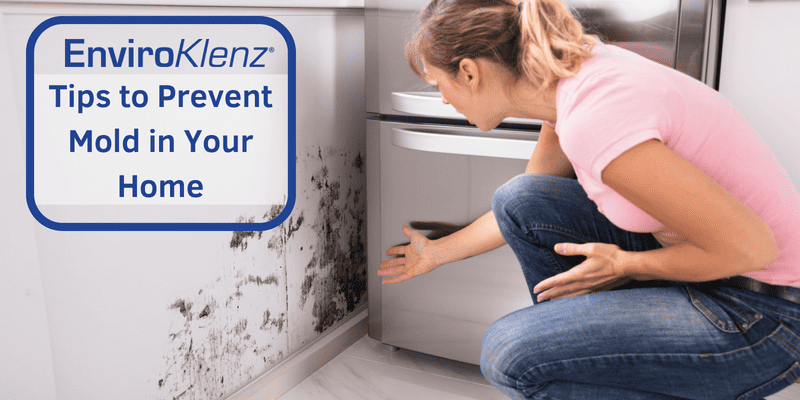 Tips to Prevent Mold in Your Home