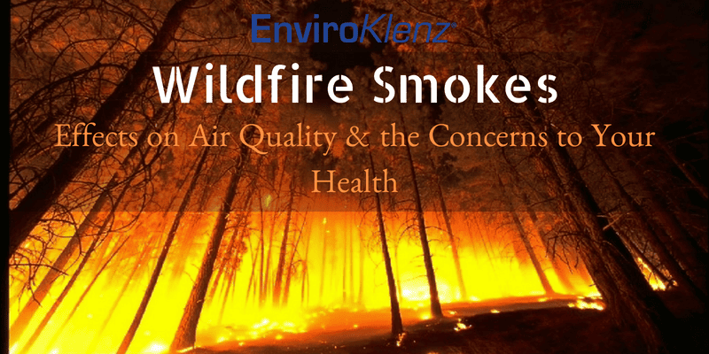 Wildfire Smokes Effects on Air Quality & the Concerns to Your Health
