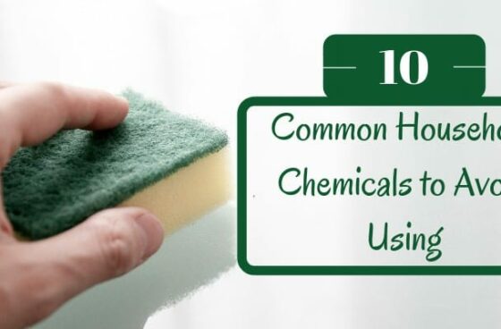 Common Household Chemicals to Avoid Using