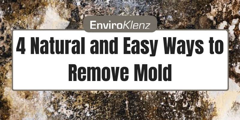 4 Natural and Easy Ways to Remove Mold