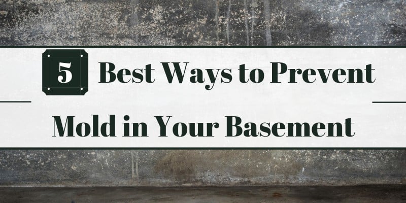 Best Ways to Prevent Mold in Your Basement