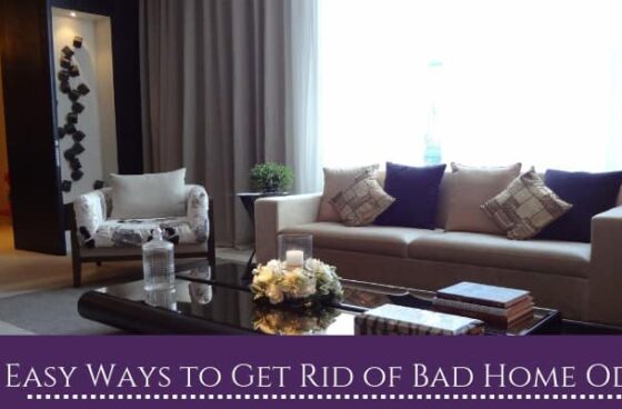 Easy Ways to Get Rid of Bad Home Odors