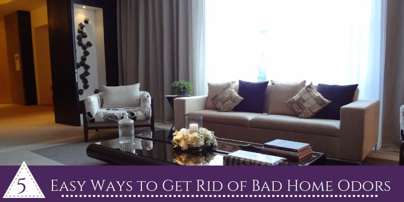 Easy Ways to Get Rid of Bad Home Odors