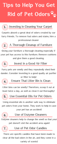 How To Remove Nasty Pet Odors From Your Home Fast - EnviroKlenz