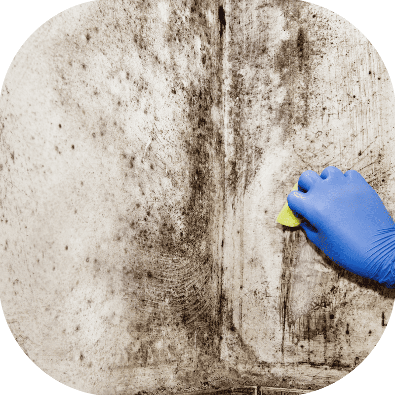 How Many Sales Reps Do I Need to Hire for My Mold Remediation Company?
