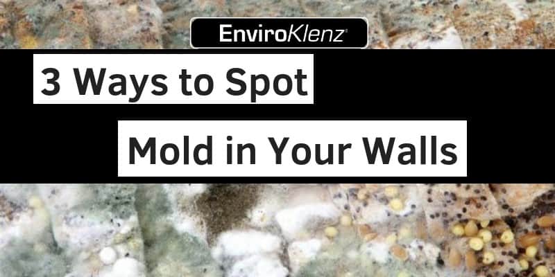 3 Ways to Spot Mold in Your Walls