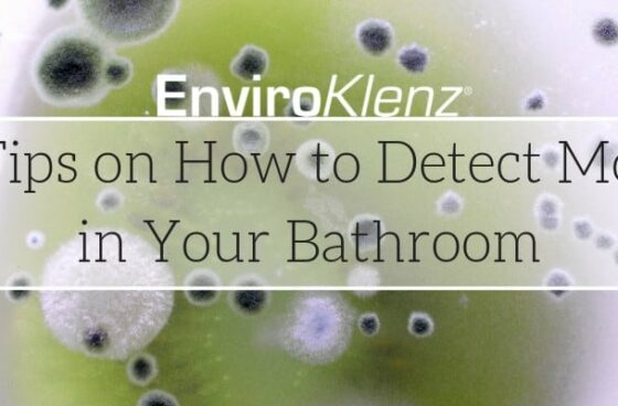 5 Tips on How to Detect Mold in Your Bathroom