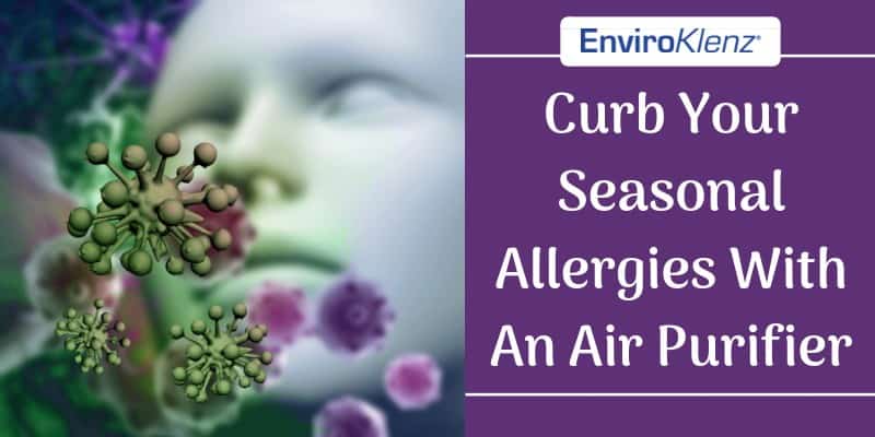 Curb Your Seasonal Allergies With An Air Purifier