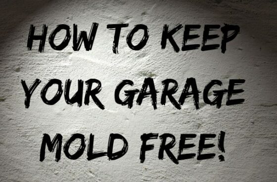 How to Keep Your Garage Mold Free!
