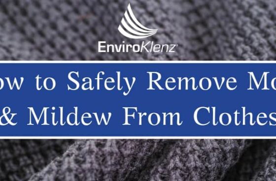 How to Safely Remove Mold & Mildew From Clothes