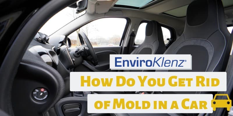 How Do You Get Rid of Mold in a Car