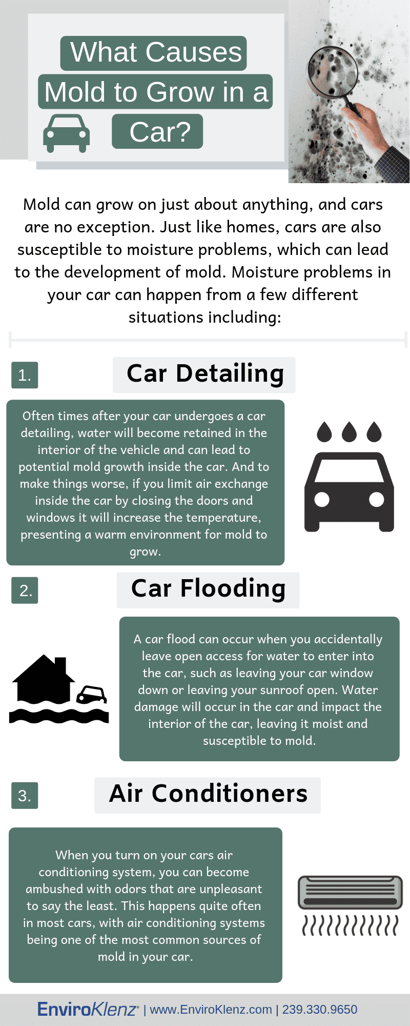 Why is Mold in My Car? EnviroKlenz