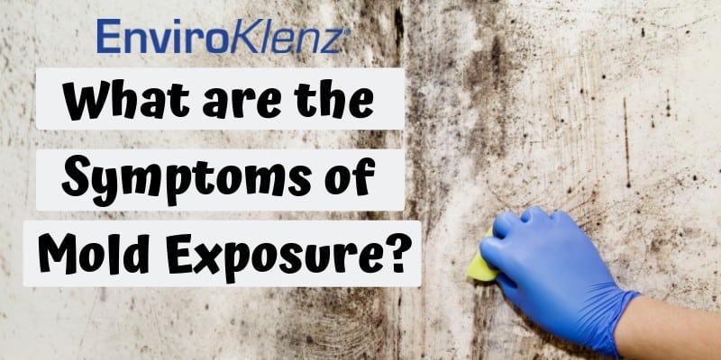 What are the Symptoms of Mold Exposure