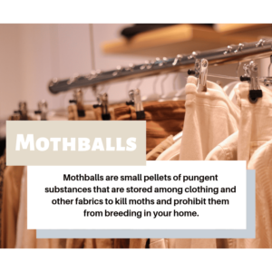 How to Remove Mothball Odor