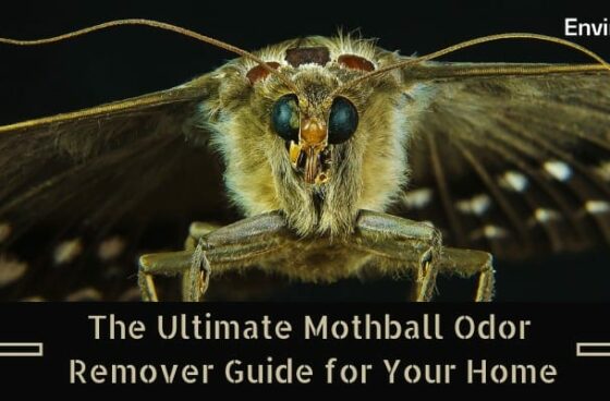 The Ultimate Mothball Odor Remover Guide for Your Home