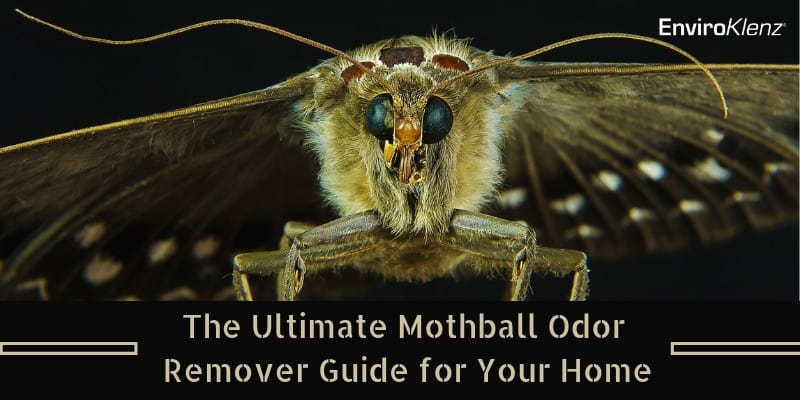 The Ultimate Mothball Odor Remover Guide for Your Home - EnviroKlenz