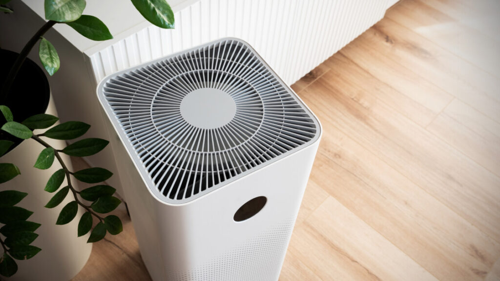 Air Purifier vs Humidifier_ The Benefits & Differences - featured