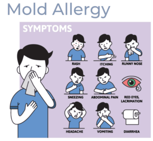 Signs of Mold Allergy