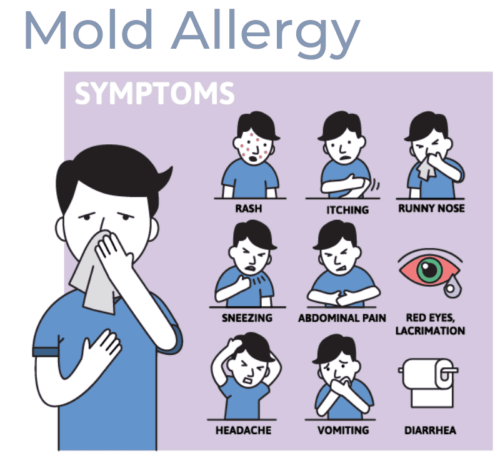 Tips to Reduce Mold Spore Allergies Indoors - EnviroKlenz