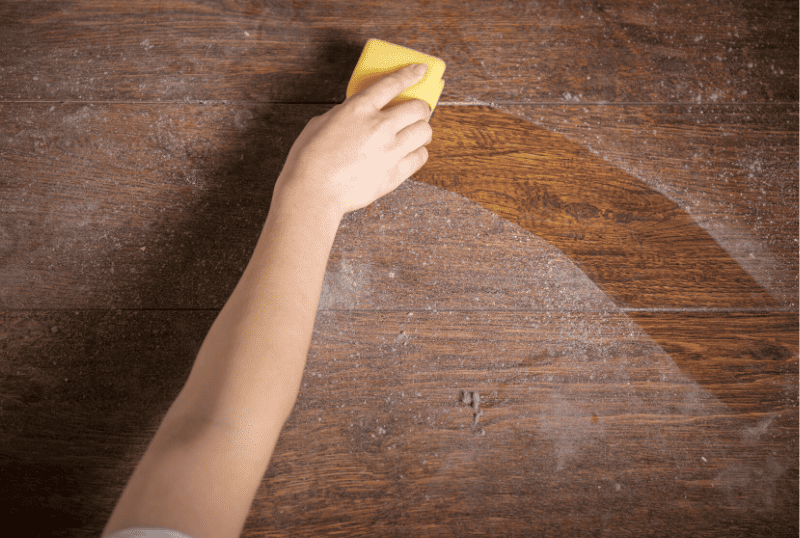 Everything to Know About Dust and Dander Allergies EnviroKlenz