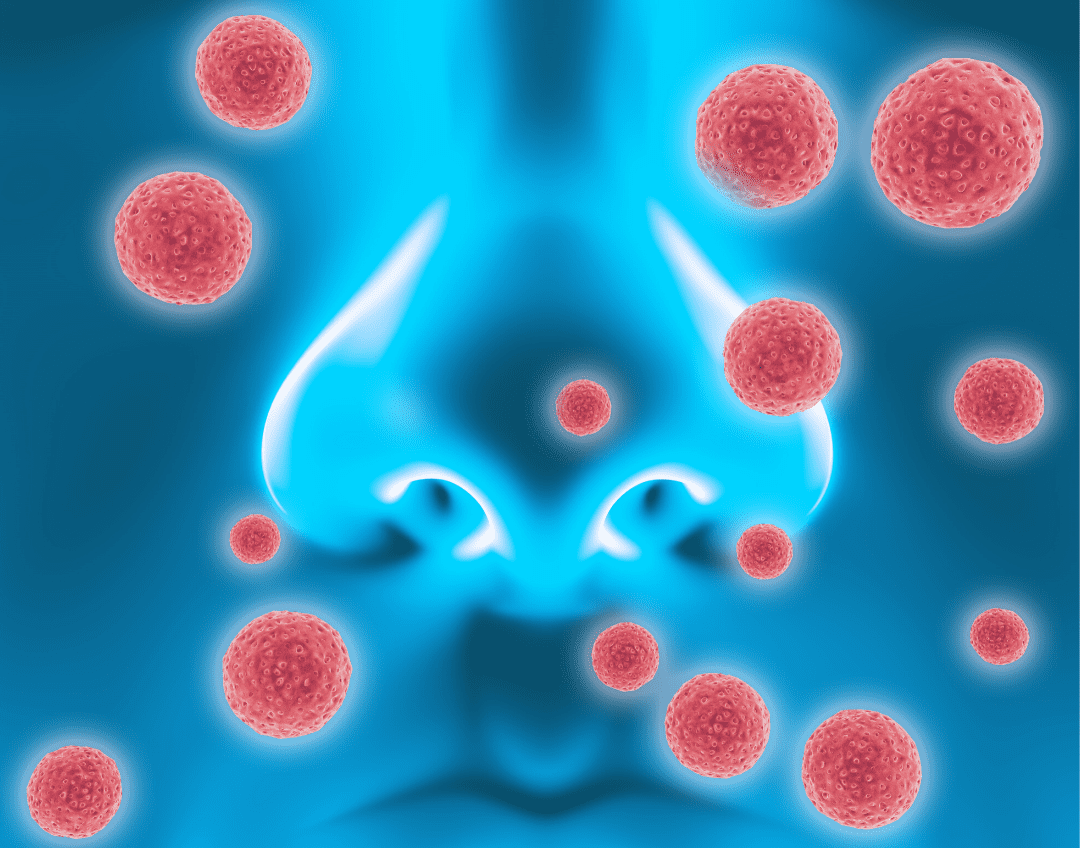 How to Combat Seasonal Airborne Allergies EnviroKlenz