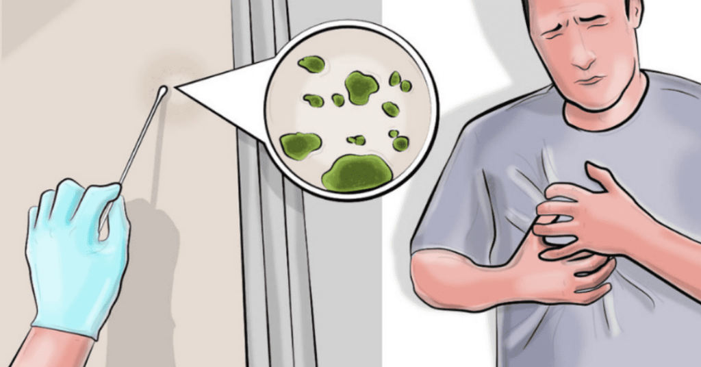 What are Mycotoxins & Do Air Purifiers Remove Them from the Air?