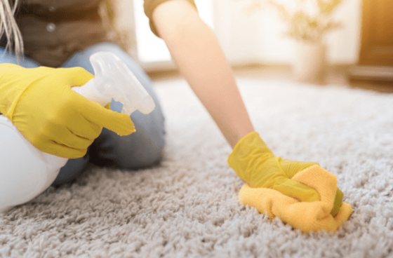 How to Remove Mold from Carpet Naturally
