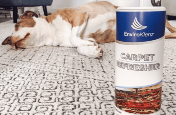 remove pet urine smell from carpet