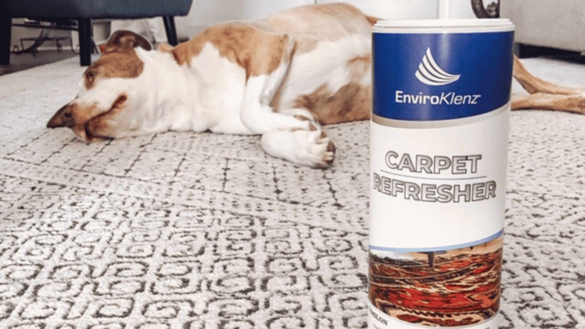 How Do You Remove Pet Urine From Carpet? EnviroKlenz
