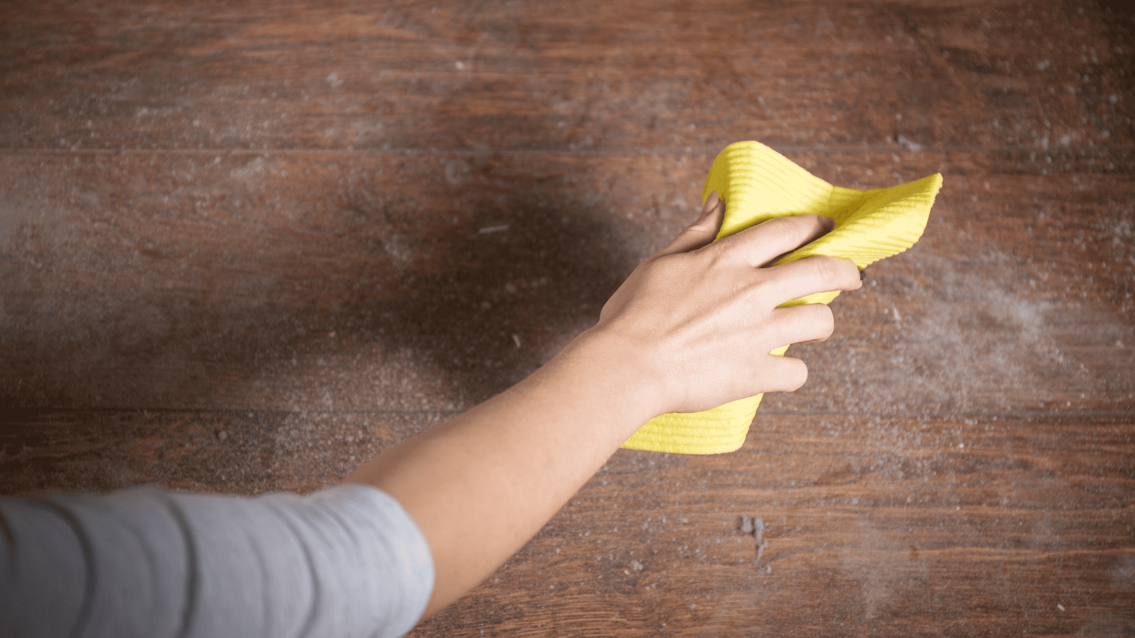 causes of high dust and dander in homes